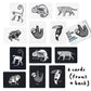 Wee Gallery Black And White Animal Art Cards For Babies, Durable High Contrast Vision Cards, Brain Development Educational Learning Tool For Newborn, Infant, Baby, Toddler - Rainforest Animals