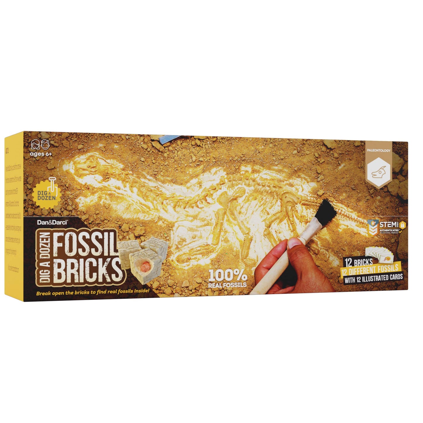 Dig A Dozen Fossil Bricks - Break Open 12 Blocks And Discover 12 Unique Real Fossils - Easter Basket Stuffers Archaeology Science Stem - Easter Gift