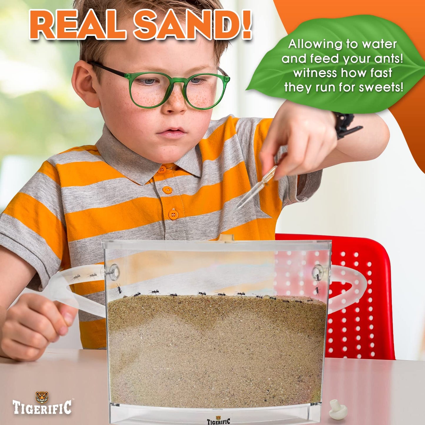 Tigerific Ant Farm for Live Ants - Transparent Plastic Habitat Set - Original Version with Real Sand - Science Kit for Kids
