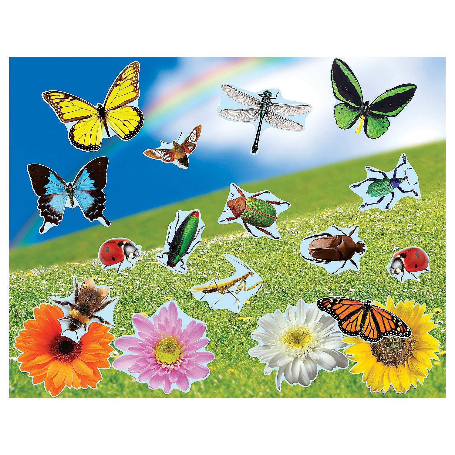 Fun Express  Real Bugs & Flowers DIY Sticker Scenes  Stationery  Stickers  Make  A  Scene (Lrg)  12 Pieces