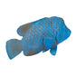 Mojo Blue Grouper Realistic International Wildlife Hand Painted Toy Figurine