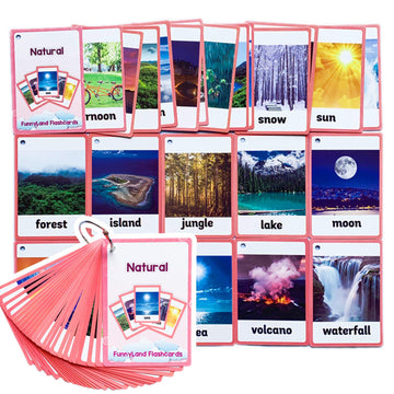 23Pcs/Set Natural Kids Gifts English Flash Cards Pocket Card Educational Learning Baby Toys For Children Lachilly