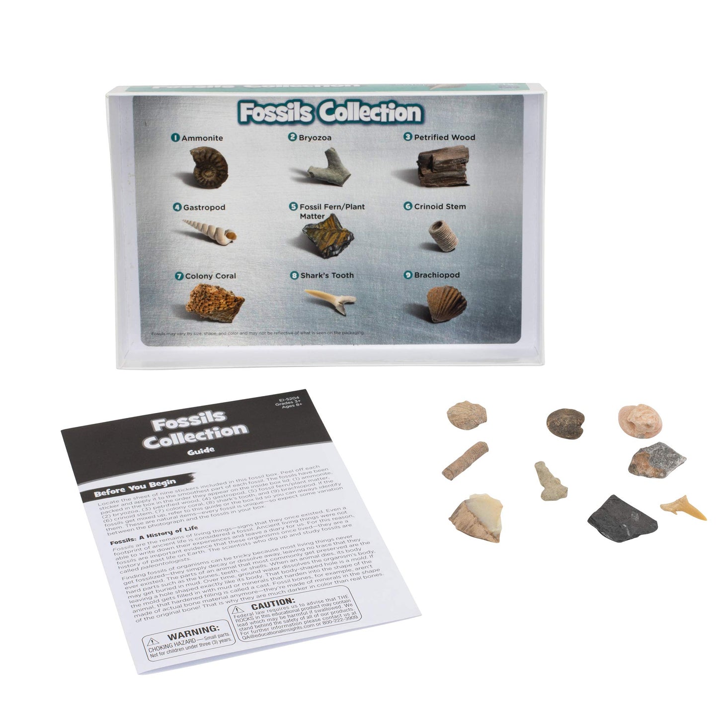 Educational Insights Complete Rock, Mineral, and Fossil Collection - 57 Pieces, Large, Multi, Model 5210, Ages 8+