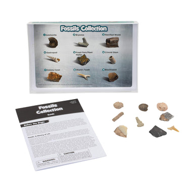 Educational Insights Complete Rock, Mineral, and Fossil Collection - 57 Pieces, Large, Multi, Model 5210, Ages 8+
