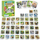 Gisgfim 50 Pairs Memory Matching Game Animal Babies Concentration Memory Card Educational Game For Kids Adults A Fun & Fast Baby