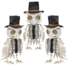 Dr.Dudu 3 Pack Halloween Skeleton Owl Decor, Life Size Animals Skeletons Plastic Skull Decorations Halloween Birds Figurines Dec