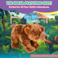 Forest & Twelfth 12 Stuffed Grizzly Bear Plush  Heirloom Collection Stuffed Animal  enhanced Materials  Best Gift for Kids Age 3+  Nursery and Room Decor (12'' Grizzly Bear)
