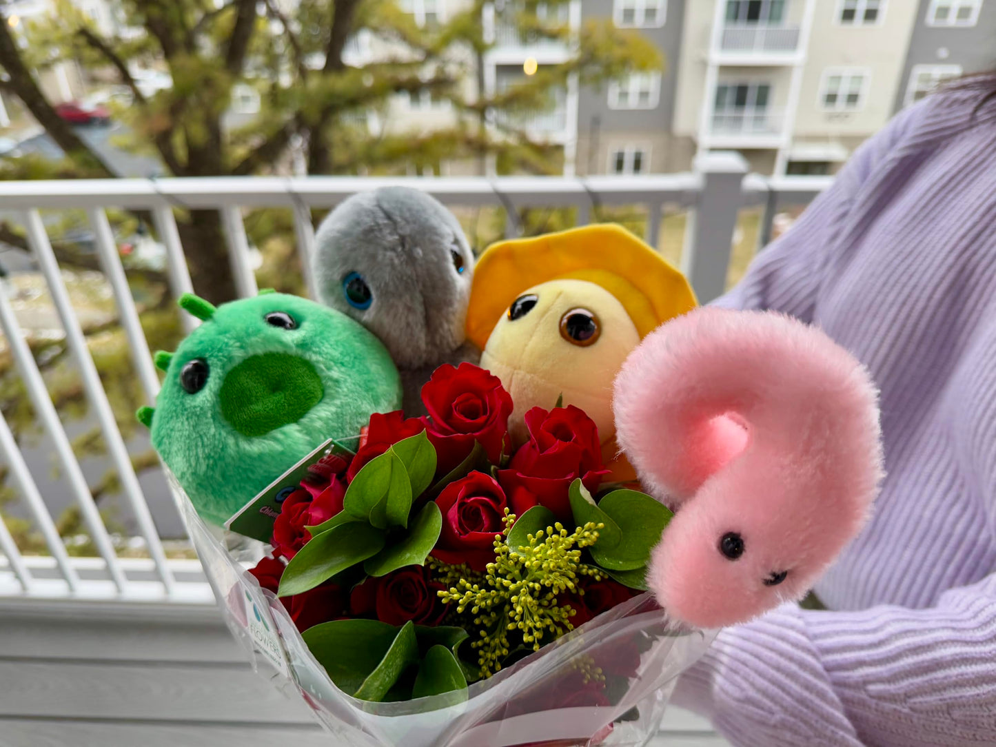 GIANTmicrobes Chlamydia Plush, STIs, STDs, Medical Gag Gifts Funny, OBGYN Gifts for Doctors, Infection Prevention Gifts, Infecti