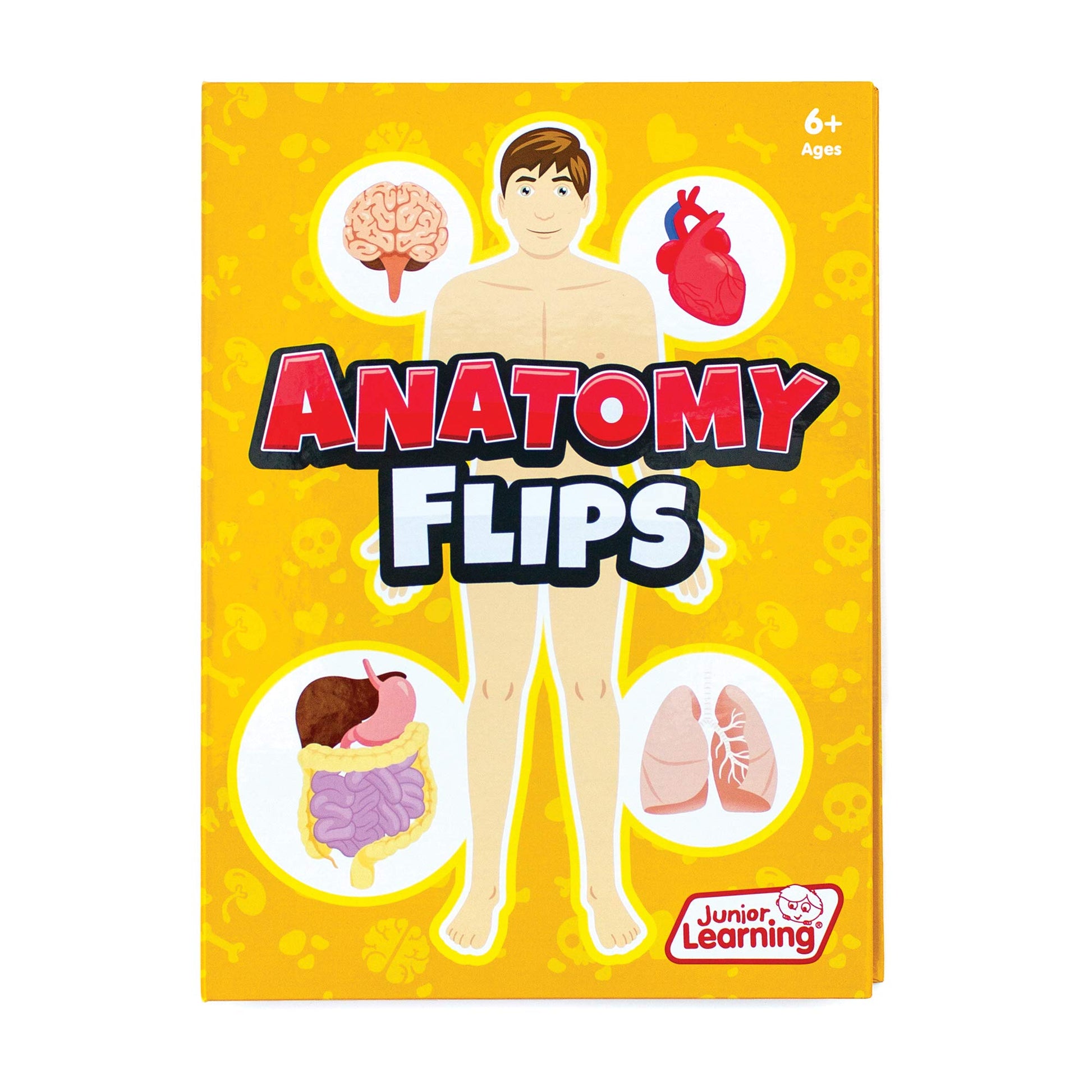 Junior Learning JL647 Anatomy Flips, Multi