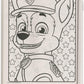 Paw Patrol Coloring Books - 2 Pack