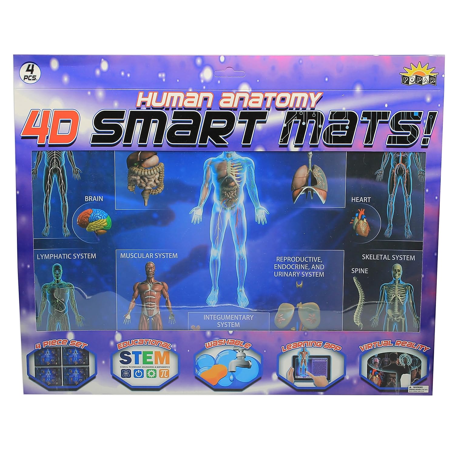 Popar Human Anatomy Smart Mats, Multicolored, Set Of 4 (Iepsmha)