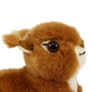 Ice King Bear Plush Toy - Realistic Red Squirrel - 6 Inches - Brown