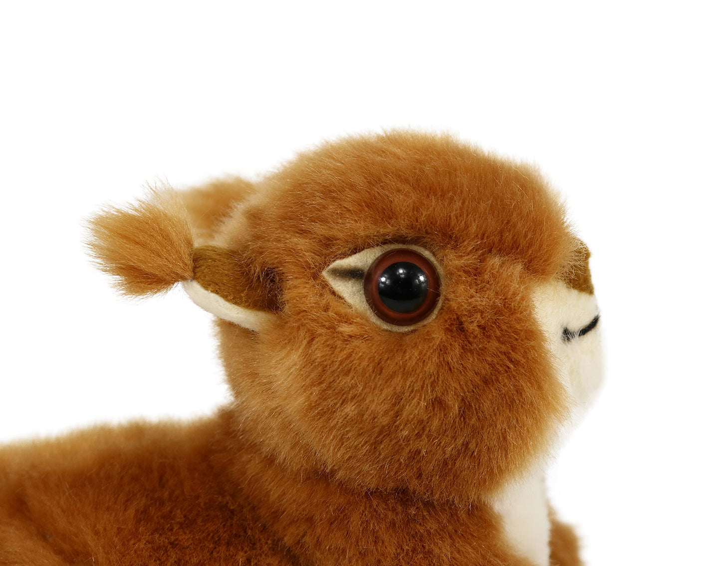 Ice King Bear Plush Toy - Realistic Red Squirrel - 6 Inches - Brown