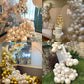 Pearl White Sand Balloons Pearl Beige Balloons Garland Arch Double-Stuffed White Balloon Different Sizes 18/12/10/5Inch 61Pcs Iv