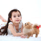 Cu-Mate 11.5 Inch- Pomeranian Puppy Toys Dog -Plush Stuffed Animal Realistic Dog Plush Toy Pet Present Gift