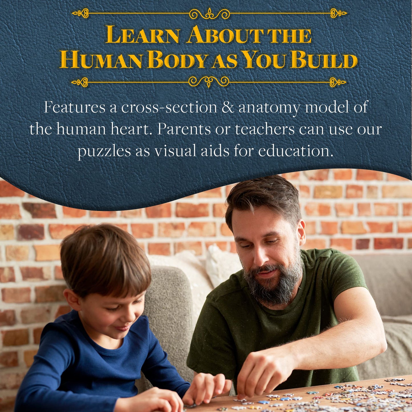 Dr. Livingston'S Human Heart Anatomy Puzzle - A Medically Accurate Jigsaw Puzzle Of The Heart Section - Educational Organ Puzzle