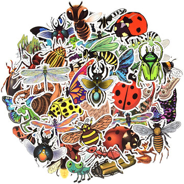 Qtl Bug Stickers Insect Stickers For Kids Insect Stickers For Water Bottle Stickers For Boys And Girls Teens Waterproof Vinyl St