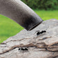 Uncle Milton Ant Eater Bug Vacuum 2.0 - Collect And Observe Live Bugs!