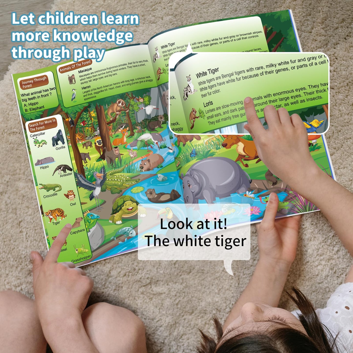 Elfew 4 Pack Search And Find Activity Book For Kids Ages 3-5 4-8 8-12, Travel Game Car Game,Travel Toys For Road Trip Airplane Activities,Over 240 Fun Animal Knowledge