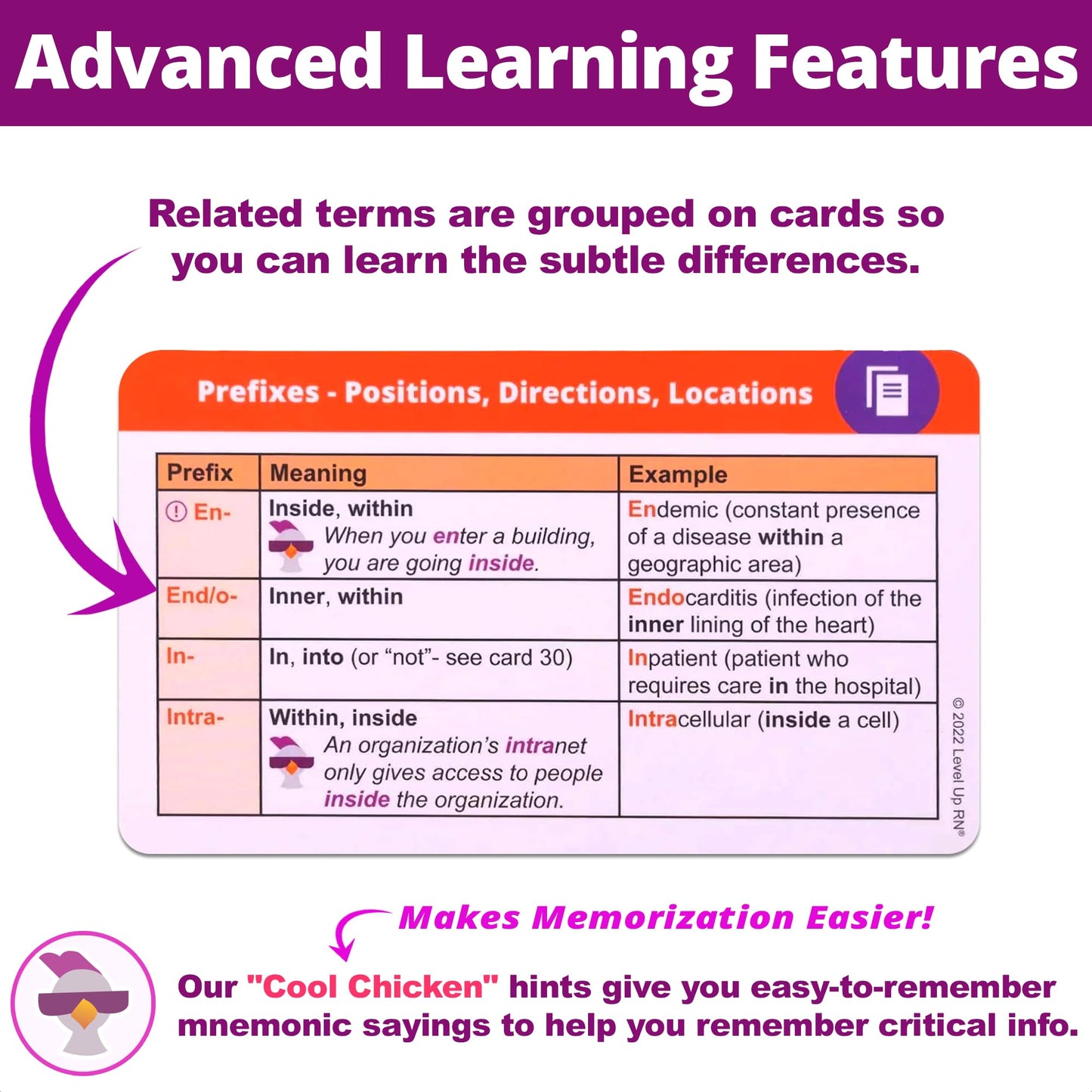 Medical Terminology Flash Cards - 559 Prefixes, Roots, Suffixes, Key Terms - Plus 397 Examples And 159 Easy Memorization Tips +