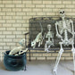Giftexpress 2 Pack Real Size Cat Skeleton - 20'' Long Creepy Kitten Skeletons With Posable Tail Halloween Decor - Indoor & Outdo