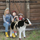 Jet Creations Inflatable Cow Toy, 37" Milk White Phthalate-Free Vinyl, AN-COW, Ideal for Parties, Pool, and Decorations