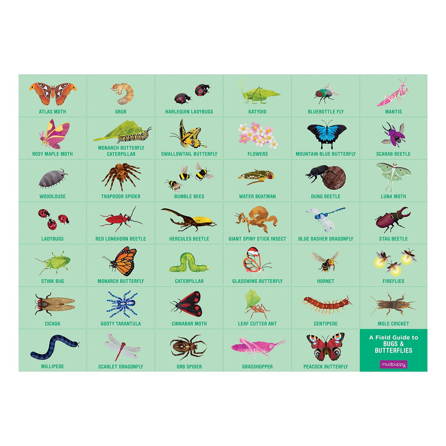 Mudpuppy Bugs & Butterflies - 64 Piece Search & Find Puzzle Jigsaw Puzzle Featuring Diverse Bugs And Insects And Over 40 Hidden