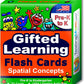 Testingmom.Com Gifted Learning Flash Cards – Visual Spatial Concepts For Pre-K – Kindergarten – Educational Practice For The Nnat Test, Cogat Test, Olsat, Wppsi, And More!