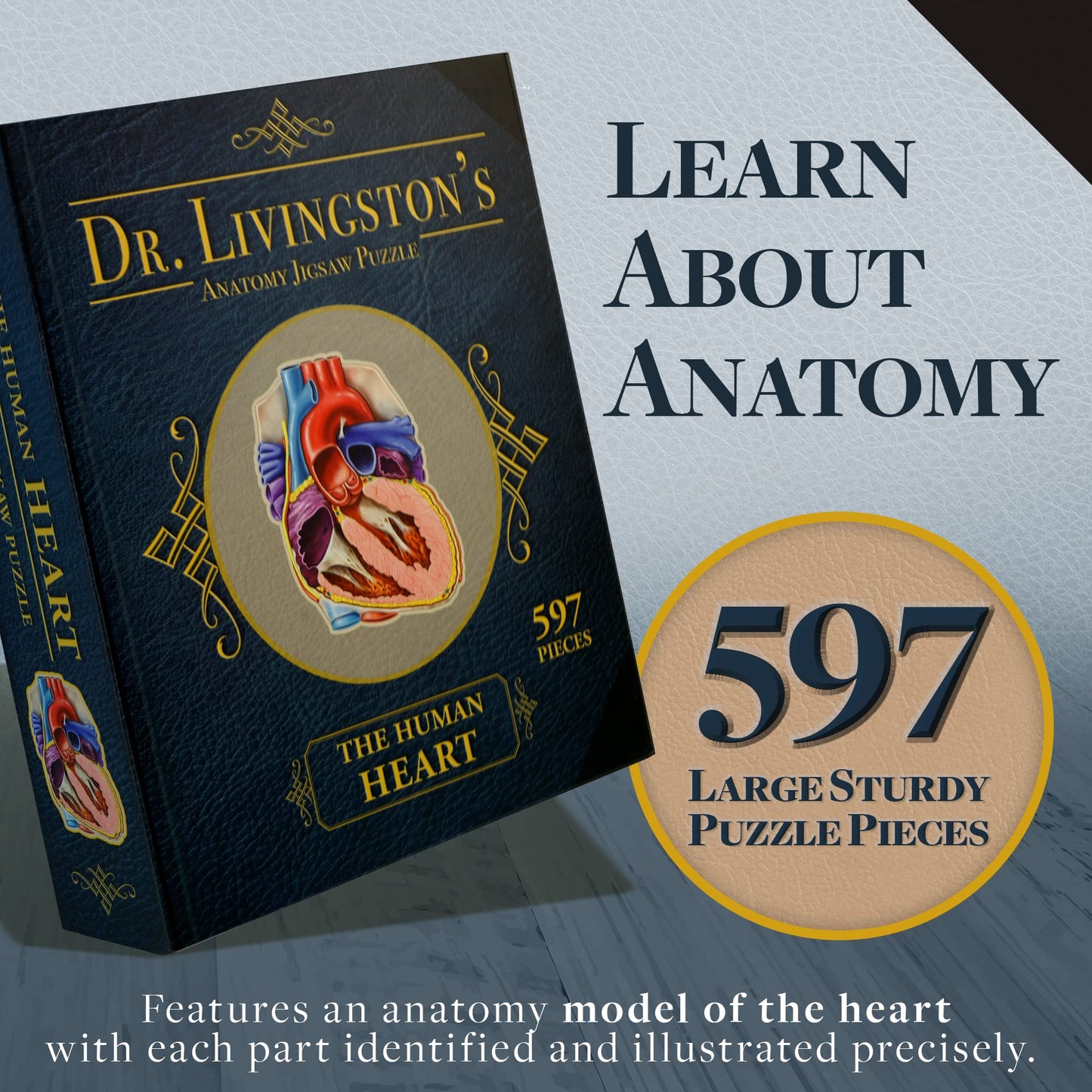 Dr. Livingston'S Human Heart Anatomy Puzzle - A Medically Accurate Jigsaw Puzzle Of The Heart Section - Educational Organ Puzzle