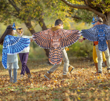 D.Q.Z Bird-Wings-Owl-Costume For Kids With Mask, Dress Up Clothes For Boys Girls Toys Eagle Role Play Hallowen Party (Black)