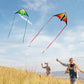 Lanrui Large Delta Kites For Kids & Adults, Easy To Fly Kite, Beginner Kite For Kids Ages 4-8,8-12(Green+Red)