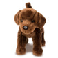 Douglas Chocolate Lab Plush Stuffed Animal, 12" Brown, Soft Plush, Model 1888