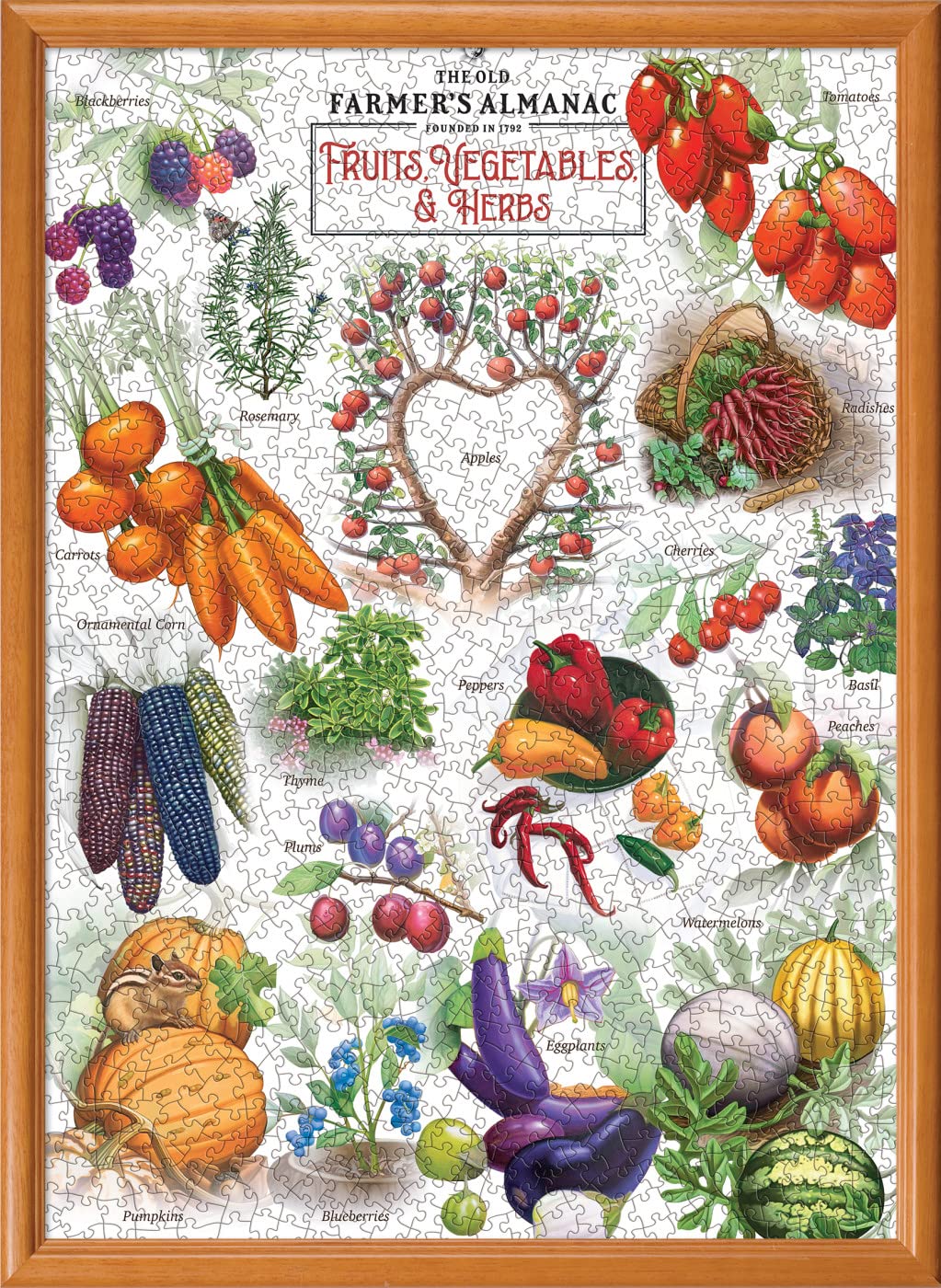 Fruits Vegetables & Berries 1000 Pc