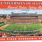 MasterPieces 1000 Piece Sports Jigsaw Puzzle - NCAA Illinois Fighting Illini Center View Panoramic - 13x39