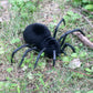 Tipmant RC Spider Remote Control Tarantula Realistic Animal Crawlers Scary Kids Halloween Christmas Prank Gag Toys Birthday Gift