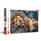 Trefl Sleeping Lion 1000 Piece Jigsaw Puzzle Red 27'X19' Print, Diy Puzzle, Creative Fun, Classic Jigsaw For Adults And Children From 12 Years Old