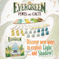 Horrible Guild Evergreen Pines and Cacti Expansion - Modular Board Game, Small, Multicolor, Model HG171, Ages 8+