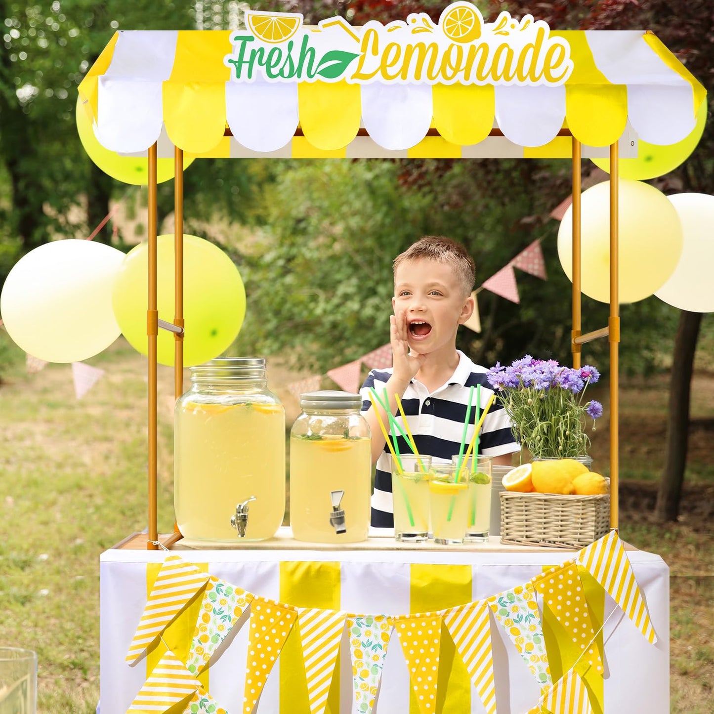 Tioncy Lemonade Stand Kit - 6 Pcs Decor Set with Shelf, Banner, Roof, and Pennant for Outdoor Lemon Themed Parties - Multicolor