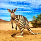 Randimals Zebra Style Kangaroo Figurine Toy 5   enhanced Hard Rubber Animal Action Figure Toy  Hybrid Friend Encourages Adventure & Imagination