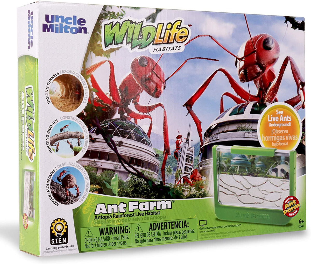 Ant Jungle Terrarium