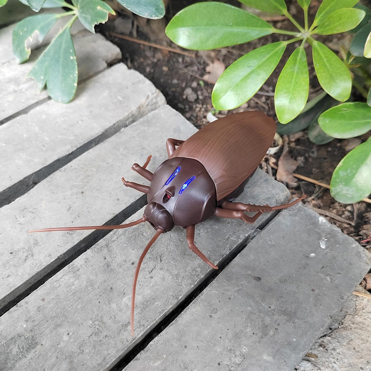 Tipmant Rc Cockroach Toy Remote Control Roach Insect Realistic Simulation Electric Electronic Animal For Cat Toddler Kids Birthd