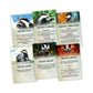 InPatience Skoventyr Board Game - Cooperative Strategy for 1-4 Players, Ages 10+, Multicolor, Cardstock, Model INPASK12