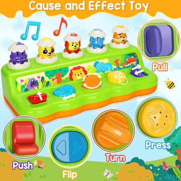 Duchong Interactive Pop Up Toys For 1 Year Old Boy Girl, Montessori Cause And Effect Toys With Music & Light, Early Learning Mus