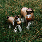 Haba Little Friends Foal Abby - 3.75' Farm Animal Toy Horse Figure