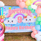 Laventy 35 Pcs On Cloud 9 Birthday Decoration For Girls On Cloud 9 Birthday Backdrop On Cloud 9 Balloons On Cloud 9 Birthday Banner Cloud Balloon Rainbow Balloon