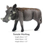 Funshowcase African Jungle Animals Toy Warthogs Figure Realistic Plastic Figurine Playset Lot 3-Piece