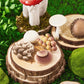 Deekin 12 Pcs Toys Mini Around World City Miniatures Buildings Mushroom Figurines Toys Polar Animal Wolf Realistic Themed Party Gifts (Mushroom)