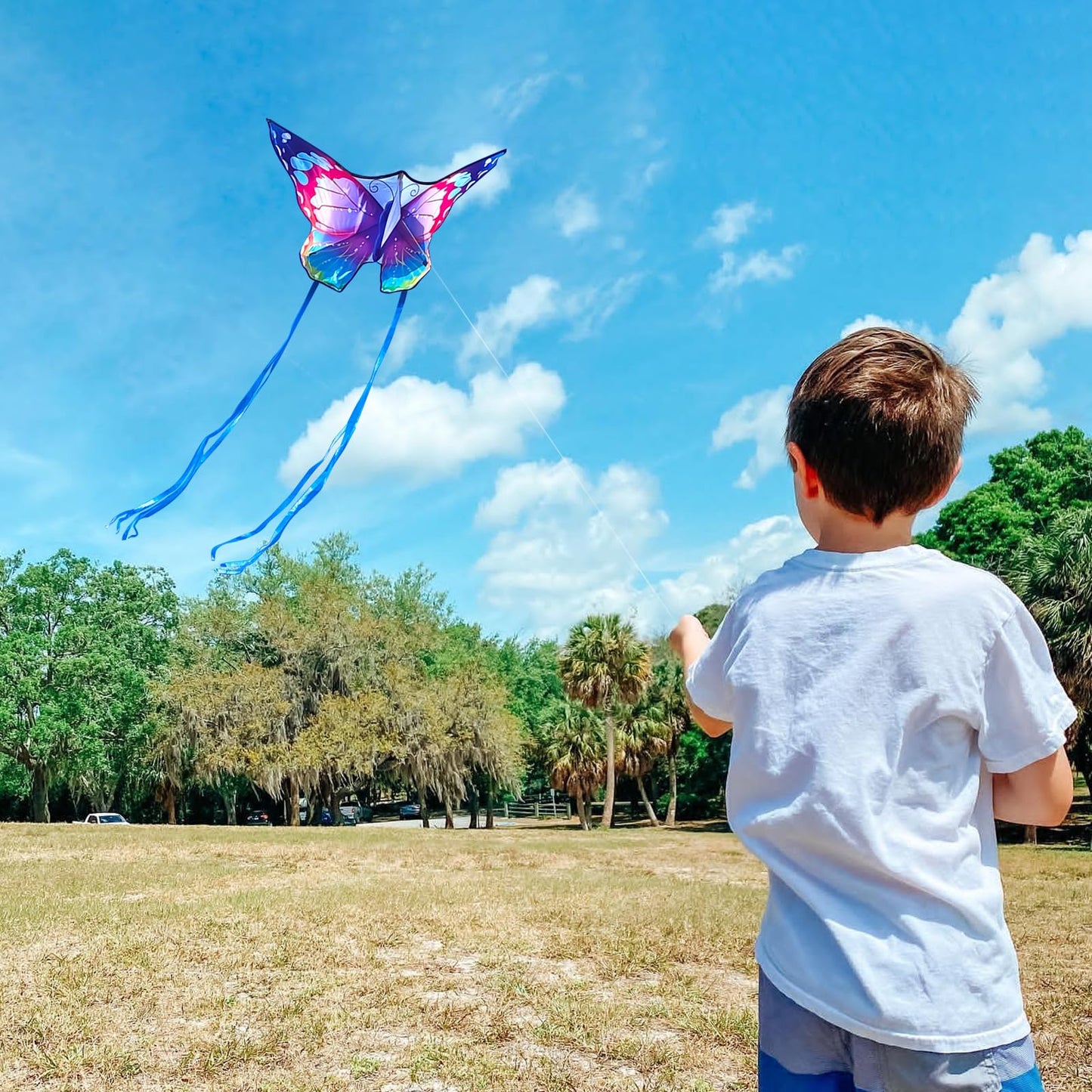 Flying Hoofer Large Butterfly Kites for Kids and Adults, Easy to Fly and Assemble for Beginners and Toddlers, Comes with 300ft K