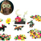 Building Block Creative Universe