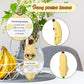 Funny Positive Banana, 5.1In Emotional Support Potato Creative Cute Knitted Pocket Hug Doll With Inspirational Gift Interesting Crochet For Plush Birthday Gift Party Decoration Encouragement